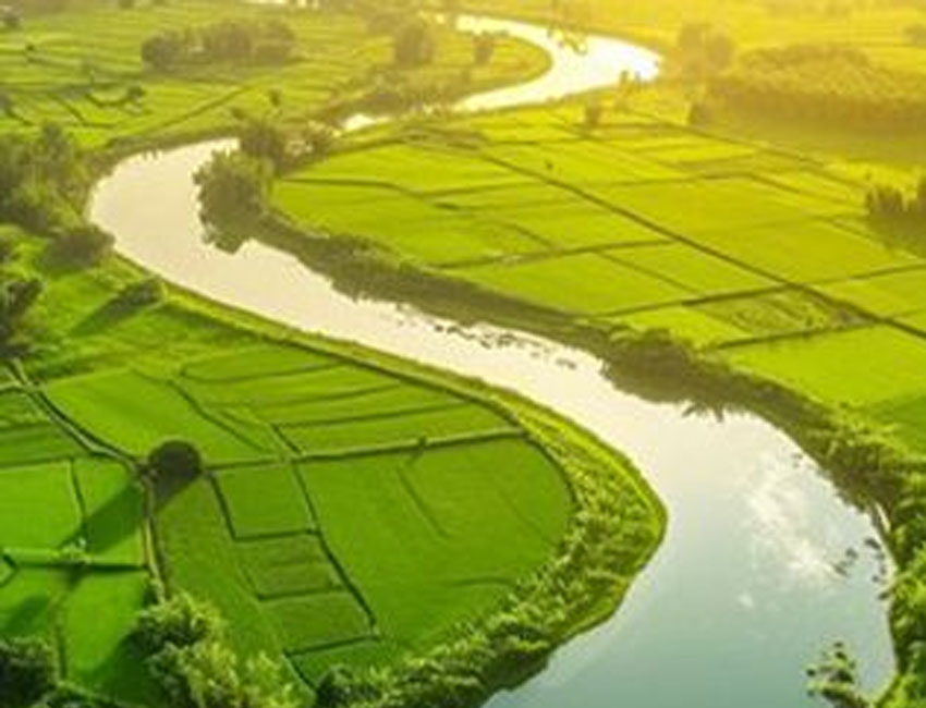 Rural Ecosystem